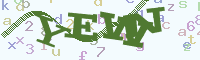 reload image