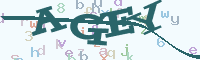 reload image