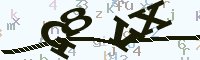 reload image