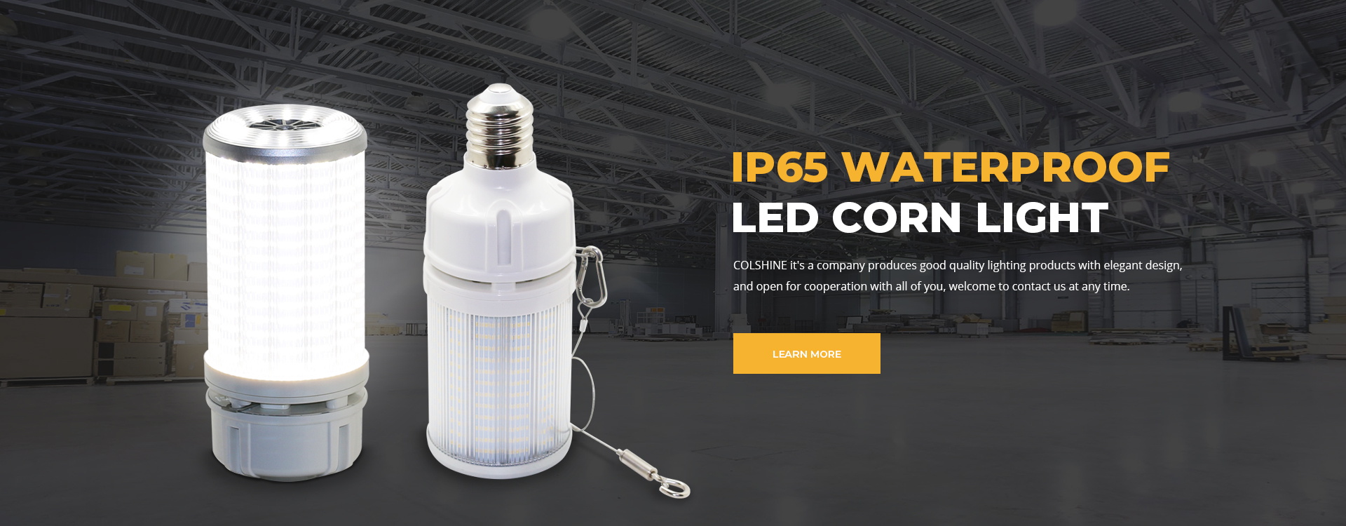 100W led bulbs